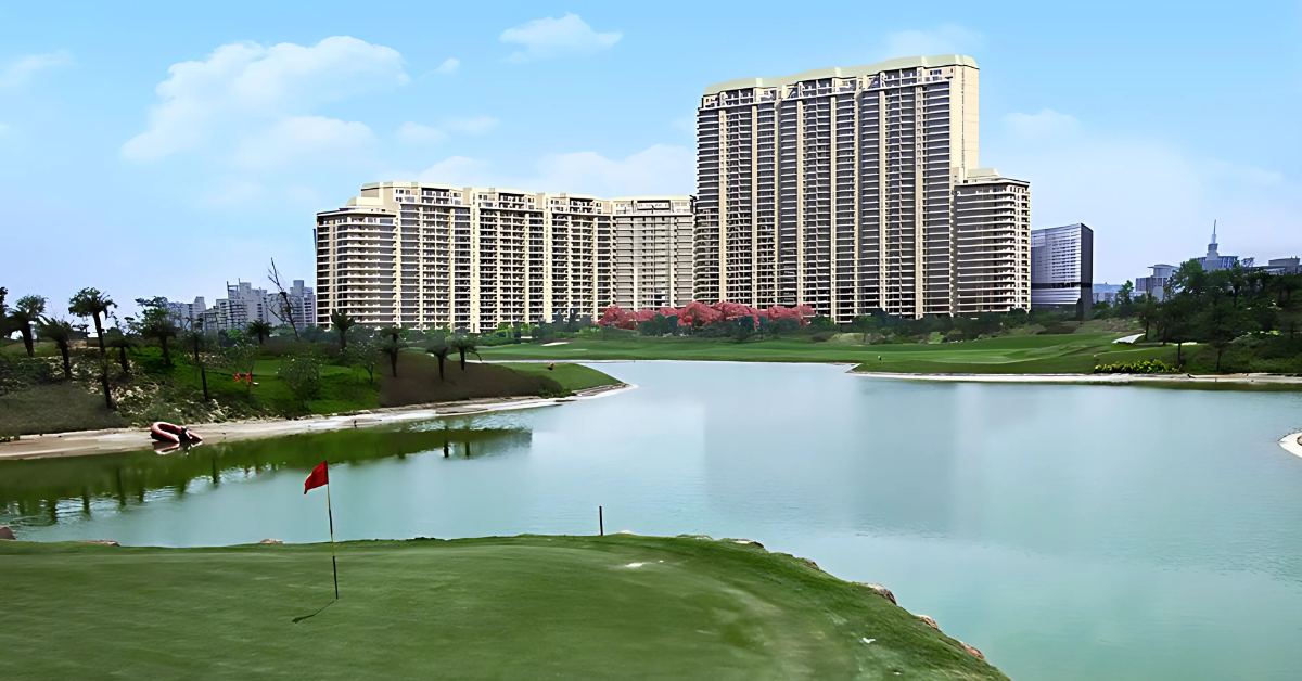 DLF The Camellias